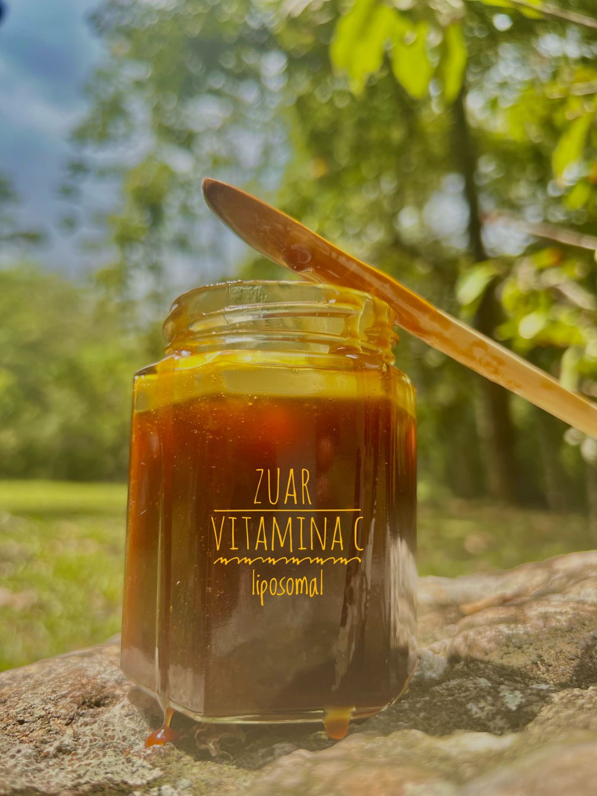 vitamina c liposomal